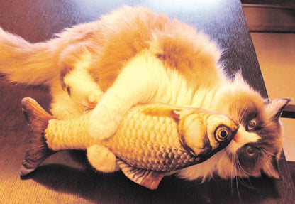 Funny cat fish plush toy