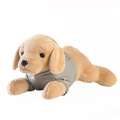 Adorable peluche Golden Retriever avec capuche