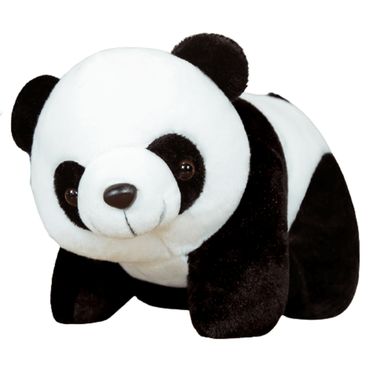 Panda Peluche