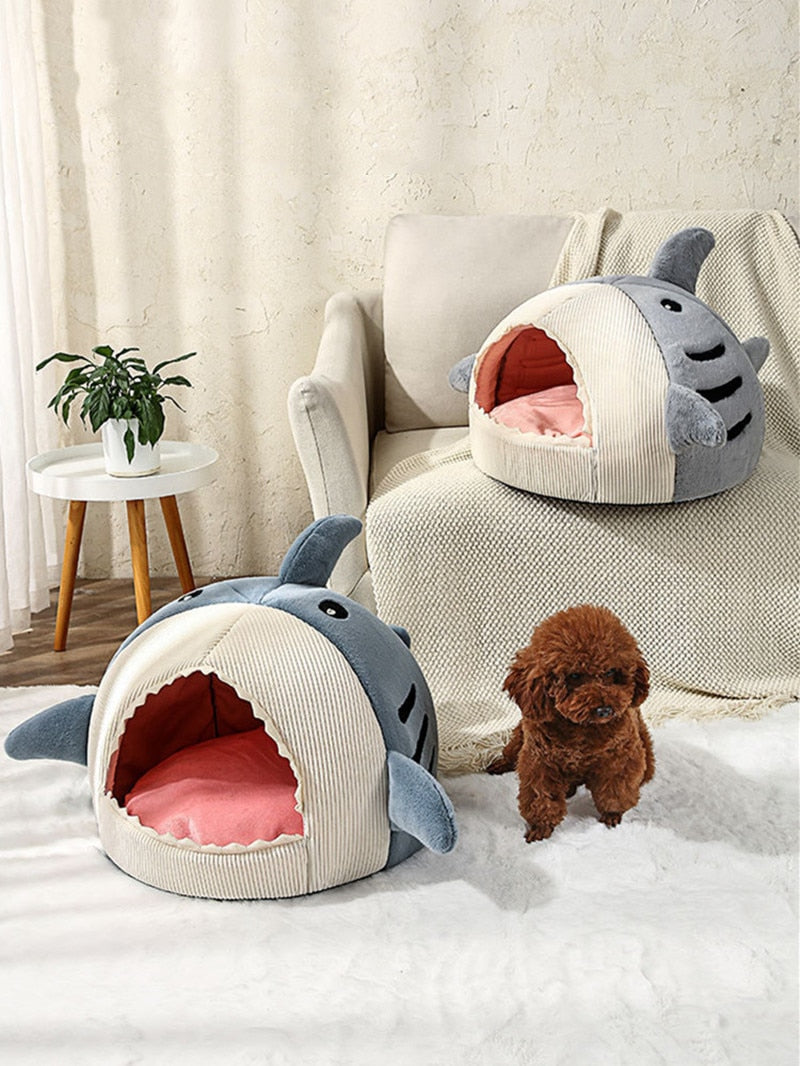 Small shark bed