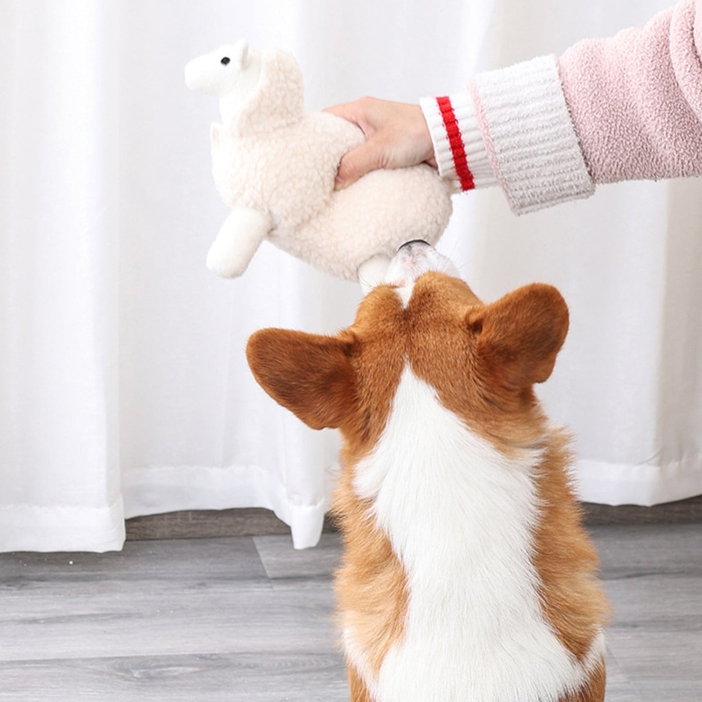 Jouet pour chien en peluche mouton qui couine