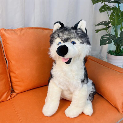 Siberian Husky Plush