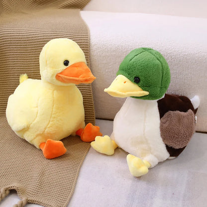 Mignon bébé canard colvert