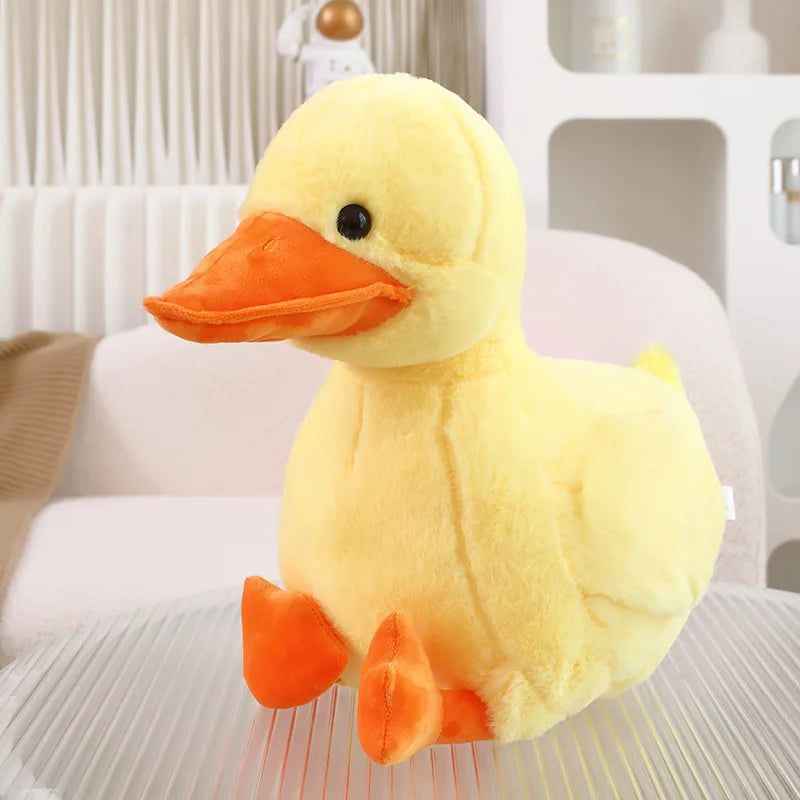 Mignon bébé canard colvert