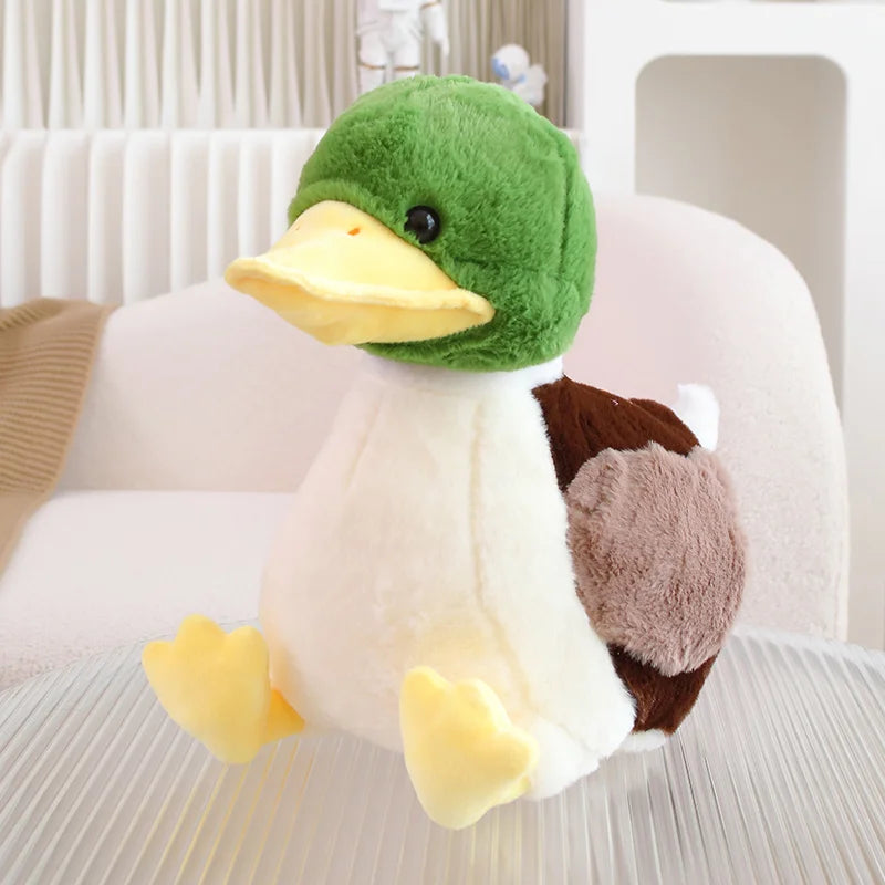 Mignon bébé canard colvert