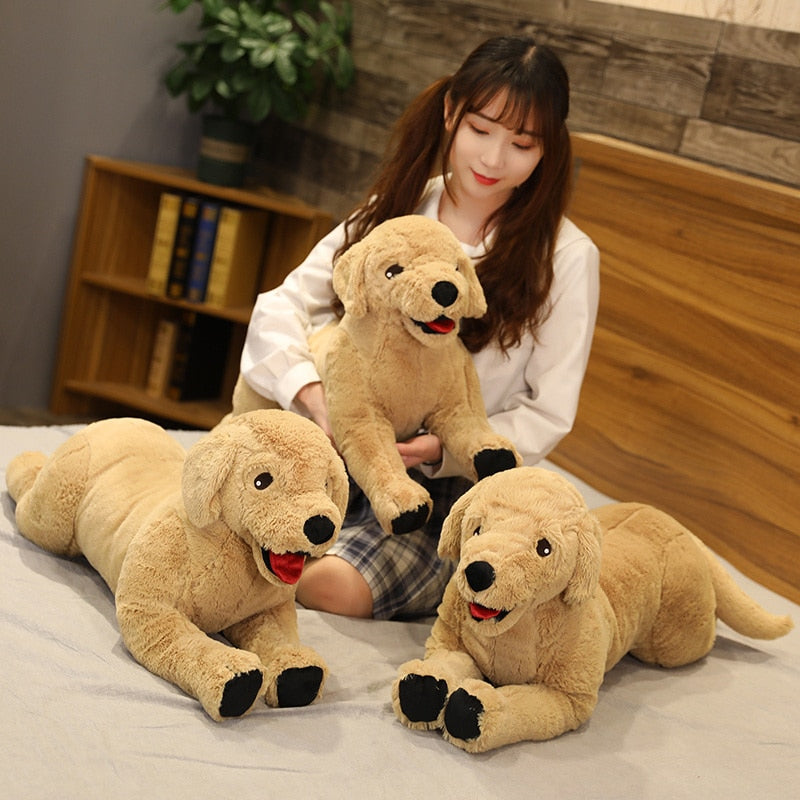 Labrador Retriever Soft Toys