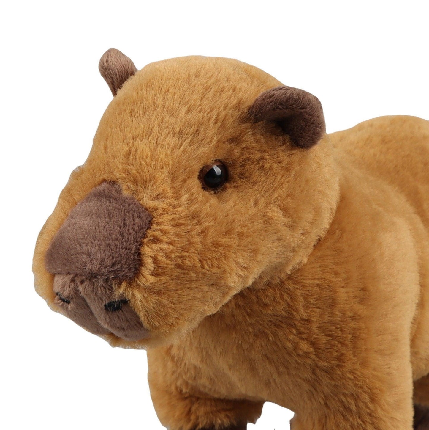 Cute and Realistic Capybara Stuffed Animals