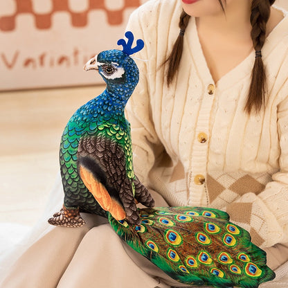 Realistic peacock soft toys