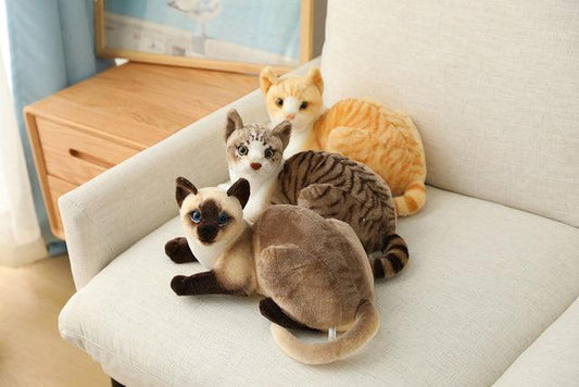 Jouets en peluche pour chat américain à poil court et siamois