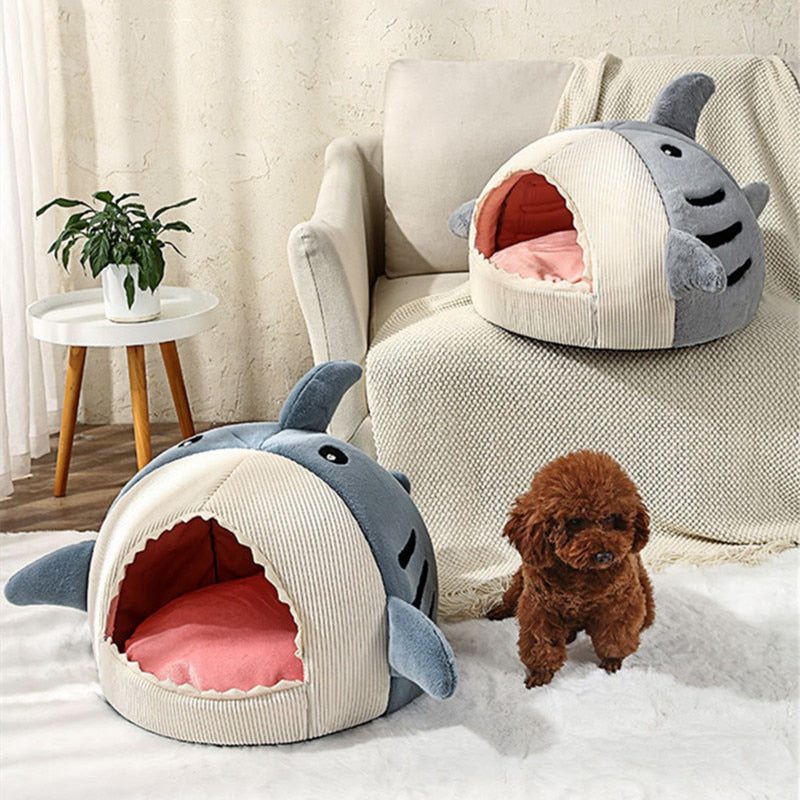 Small shark bed