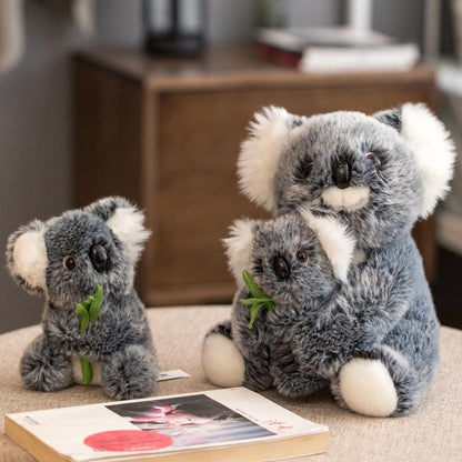 Ours Koala en peluche, mère et enfant