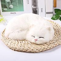 Hyper-realistic plush dolls for sleeping cats