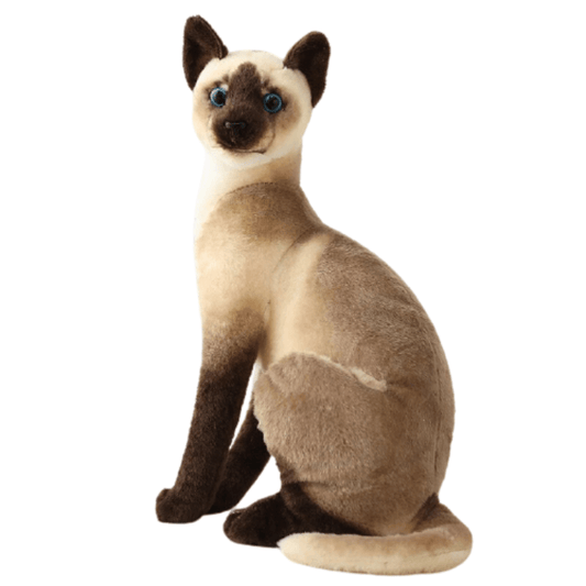 Peluche Chat Siamois