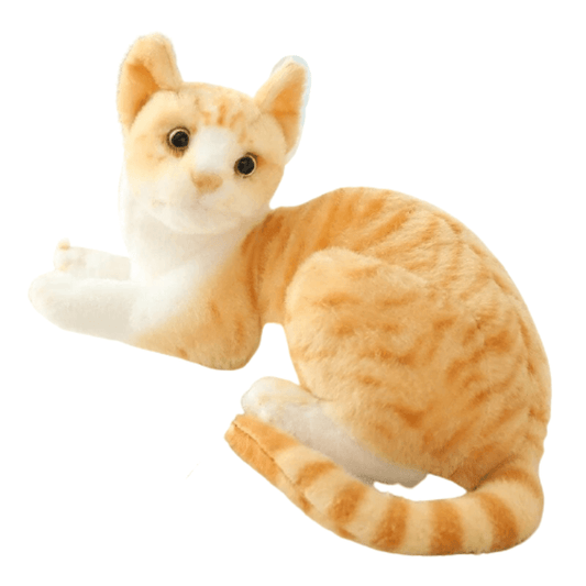 Peluche Chat Roux