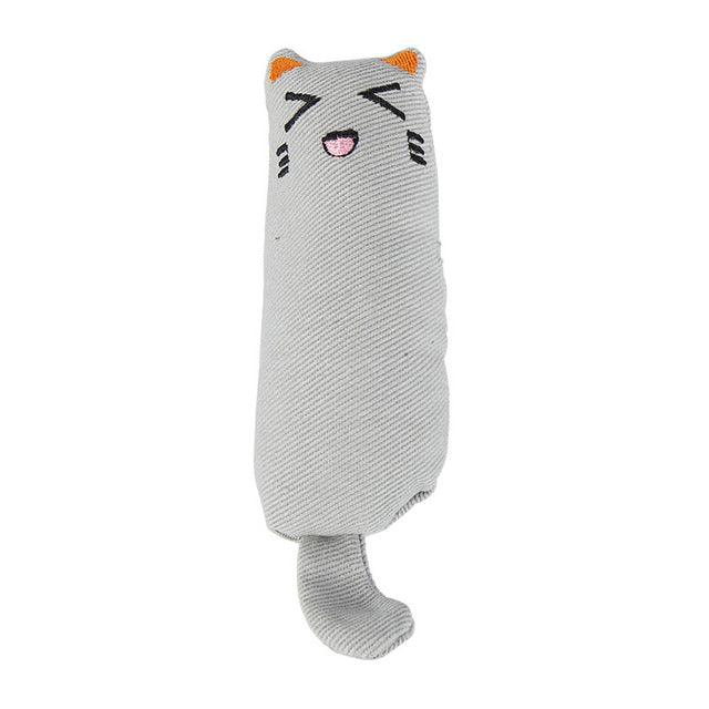 Catnip cat toys