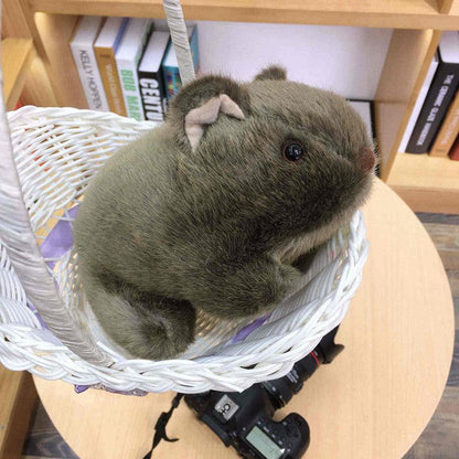 Simulation Guinea Pig Doll Small Plush Toy