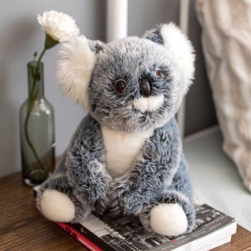 Ours Koala en peluche, mère et enfant