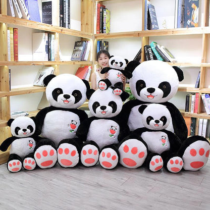 Black and white giant panda