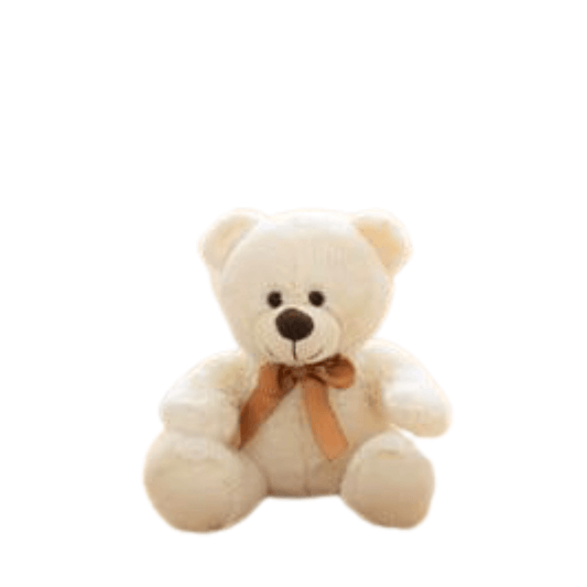 Peluche Ours Vintage