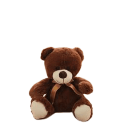 Peluche Ours Vintage