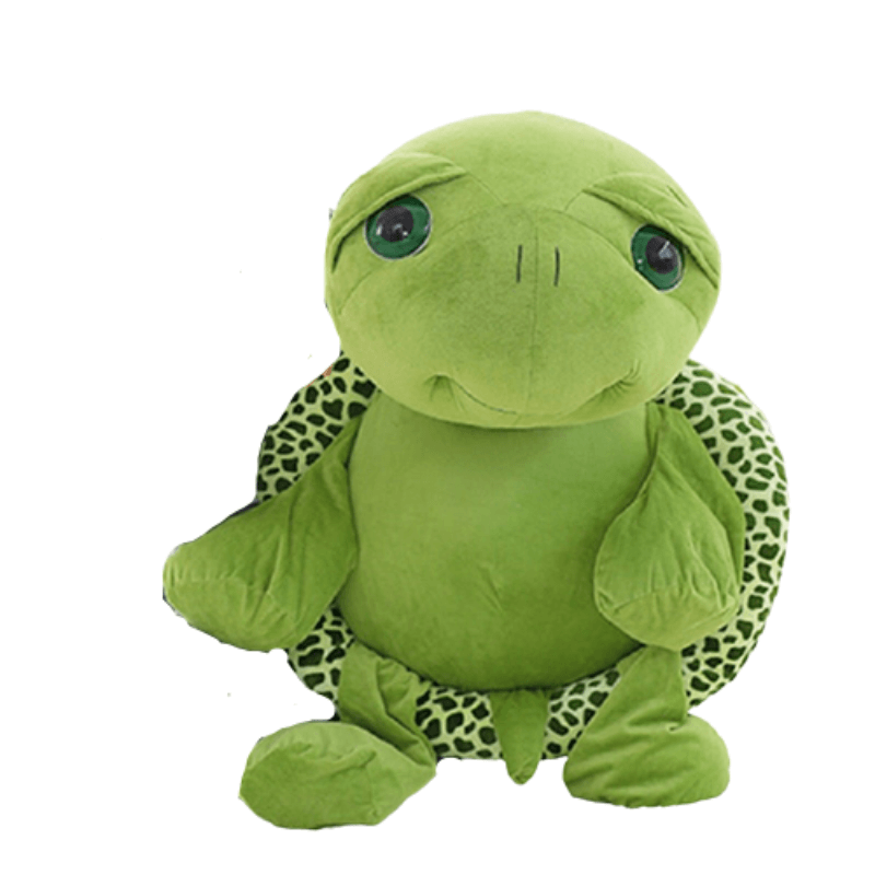 Grosse Peluche Tortue