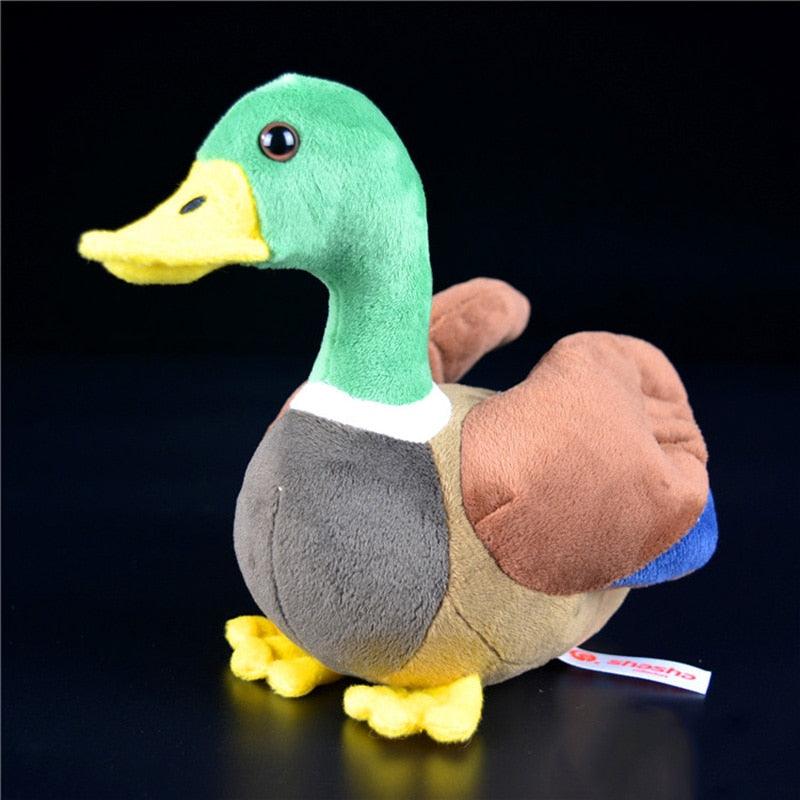 Peluche canard colvert super mignon