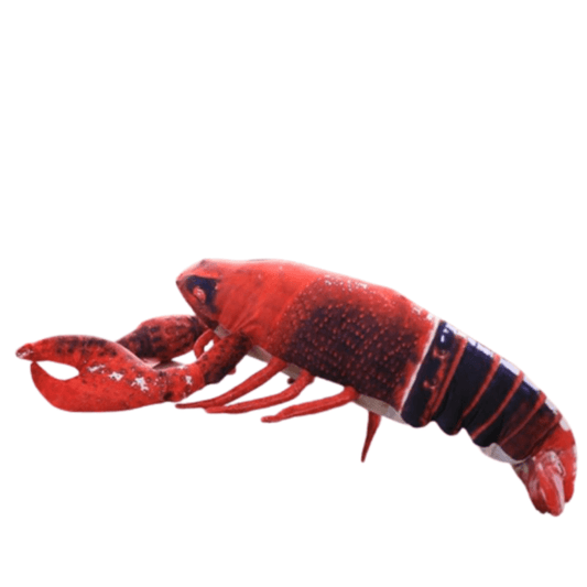 Peluche Homard