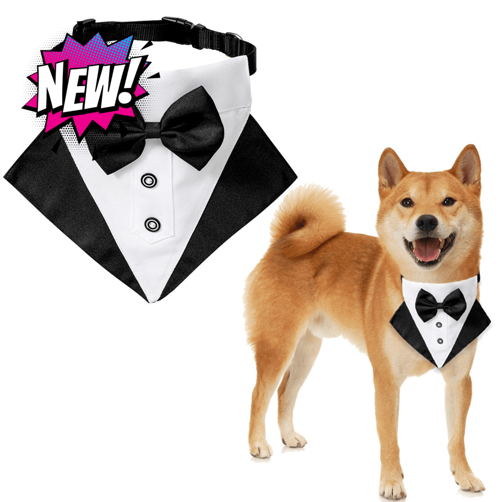 Tuxedo dog bandana