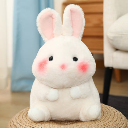 Baby Plush Rabbit