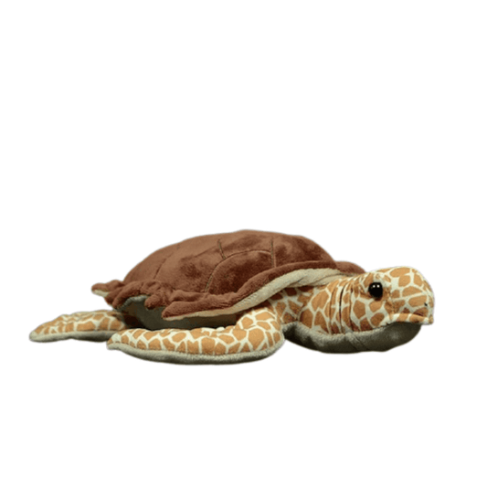 Peluche Tortue de Terre