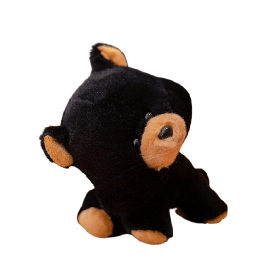 Petite Peluche Ours