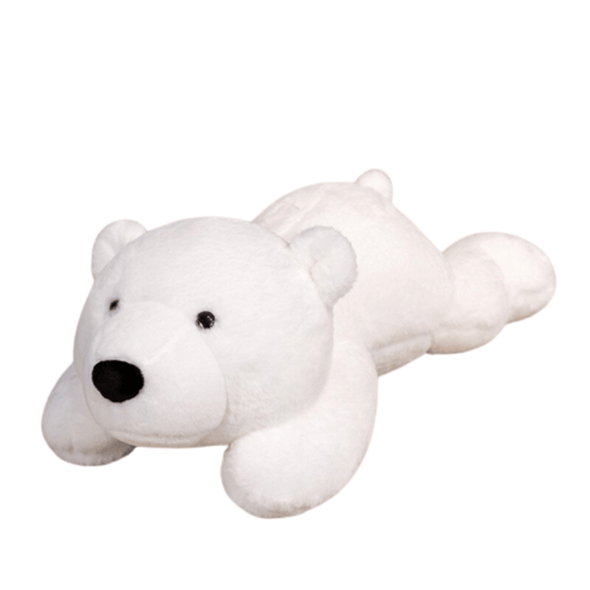 Ours Polaire Blanc Peluche