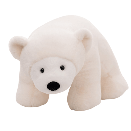 Peluche Ours Polaire Blanc