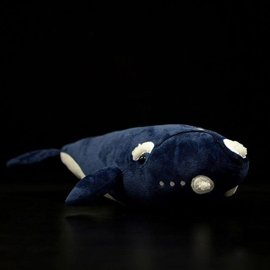 Peluche Baleine Franche 38cm - Peluche Center | Boutique Doudou & Peluches