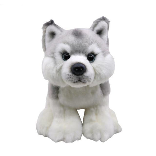 Peluche Husky Blanc - Peluche Center | Boutique Doudou & Peluches