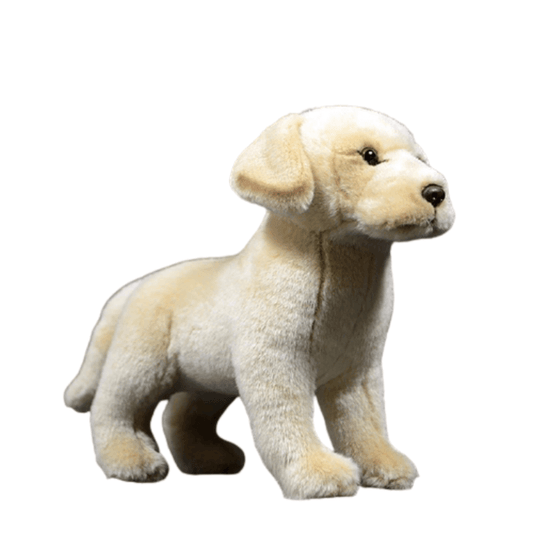 Peluche Labrador