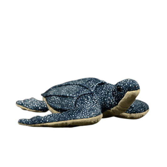 Peluche Tortue Marine