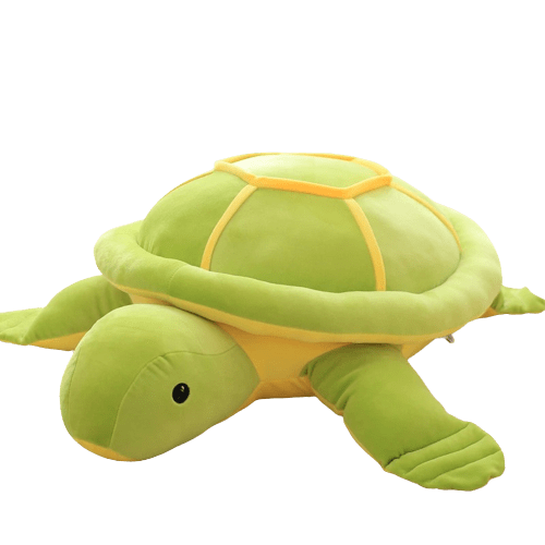 Cuddly Turtle Plush
