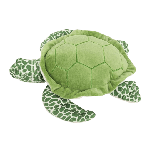 Cute Turtle Plush Toy