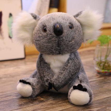 Doudou koala bébé en côte 5935801
