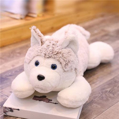 Giant Husky Plush Toy 18" - 30".