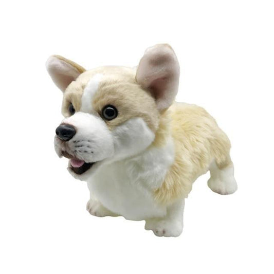 Peluche Chien Corgi - Peluche Center | Boutique Doudou & Peluches