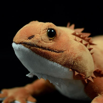 Bearded Dragon Plush