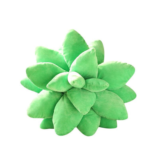 Peluches Plantes Succulentes