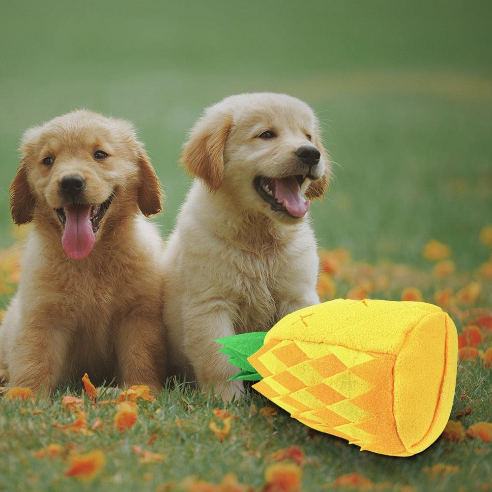 Anti-stress pineapple plush toy, nose pad for dog