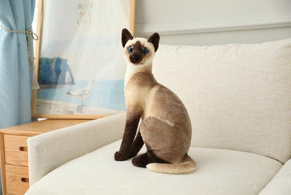 Plush Toys for American Shorthair and Siamese Cats