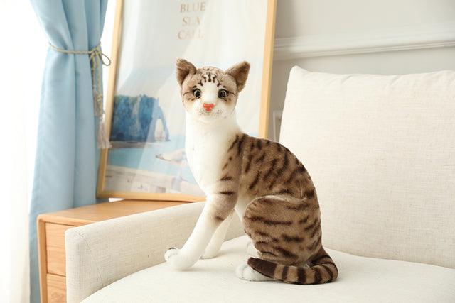 Plush Toys for American Shorthair and Siamese Cats