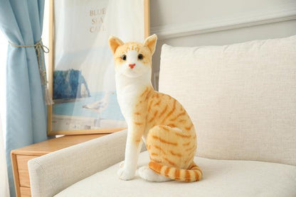 Plush Toys for American Shorthair and Siamese Cats