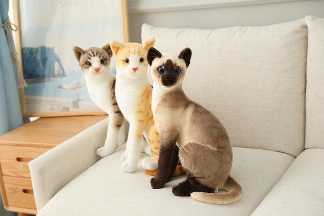 Plush Toys for American Shorthair and Siamese Cats