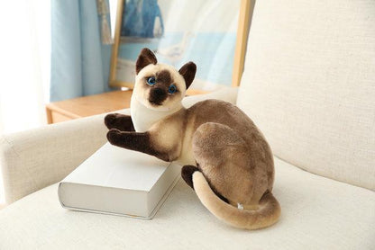 Plush Toys for American Shorthair and Siamese Cats